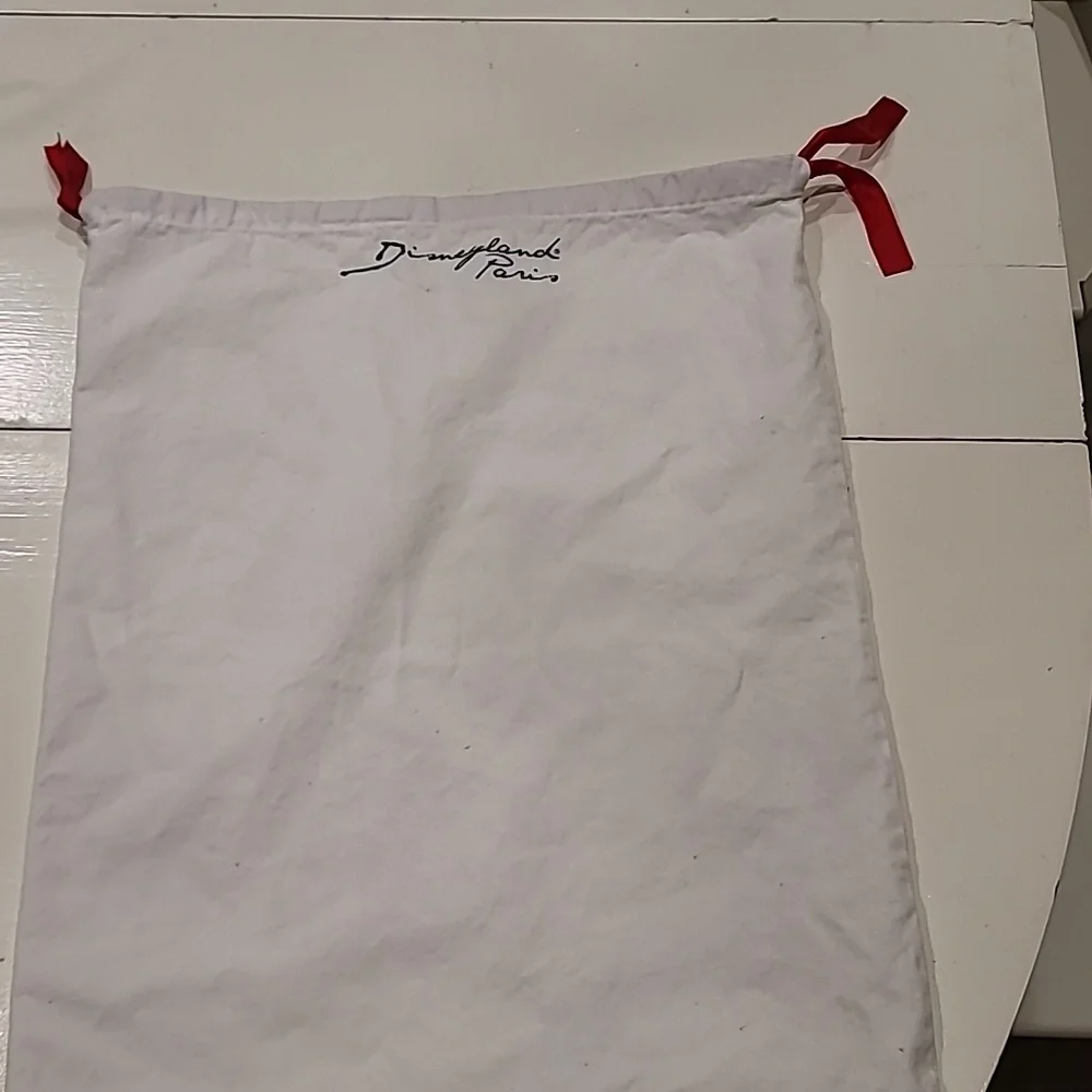 Disney Paris laundry bag